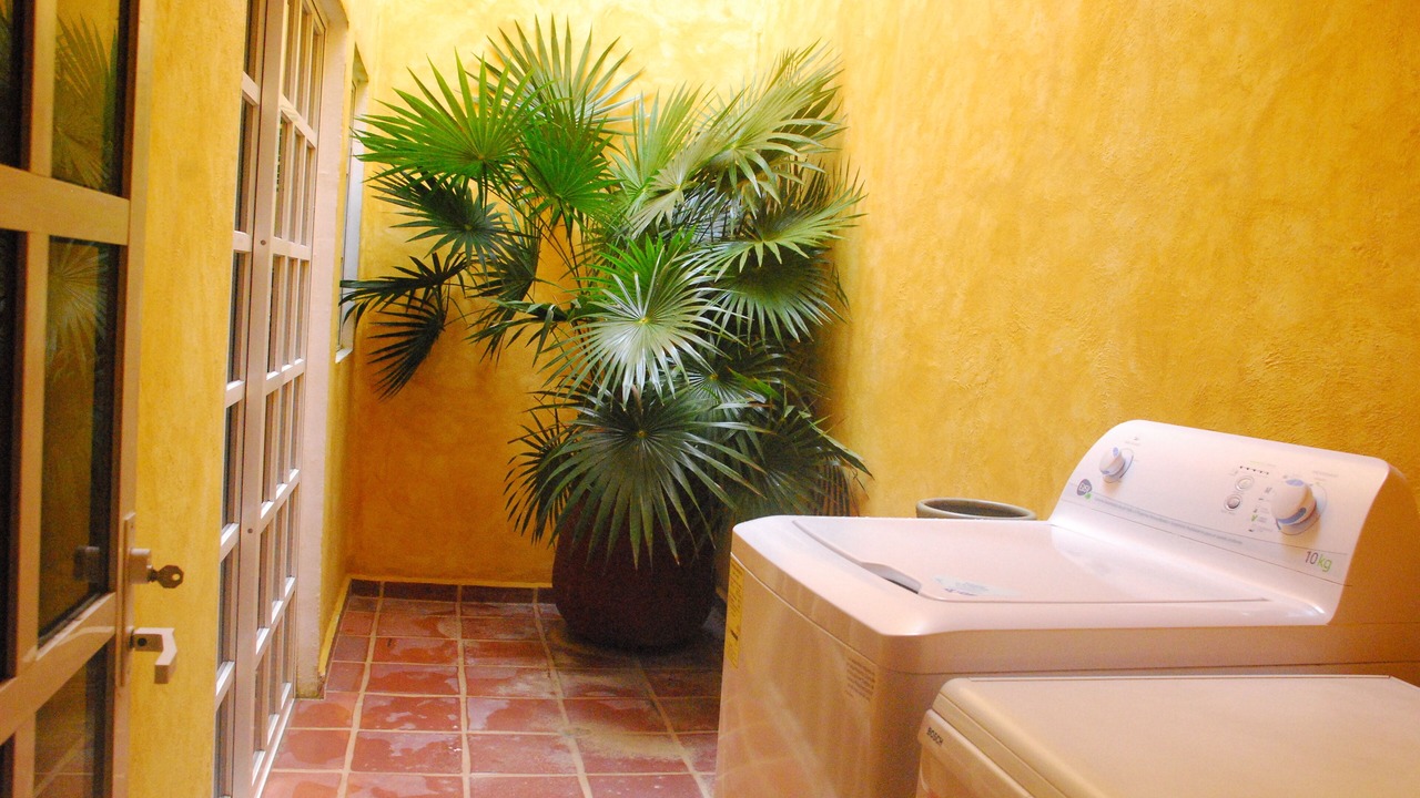 Photo of Others in Colonia Centro