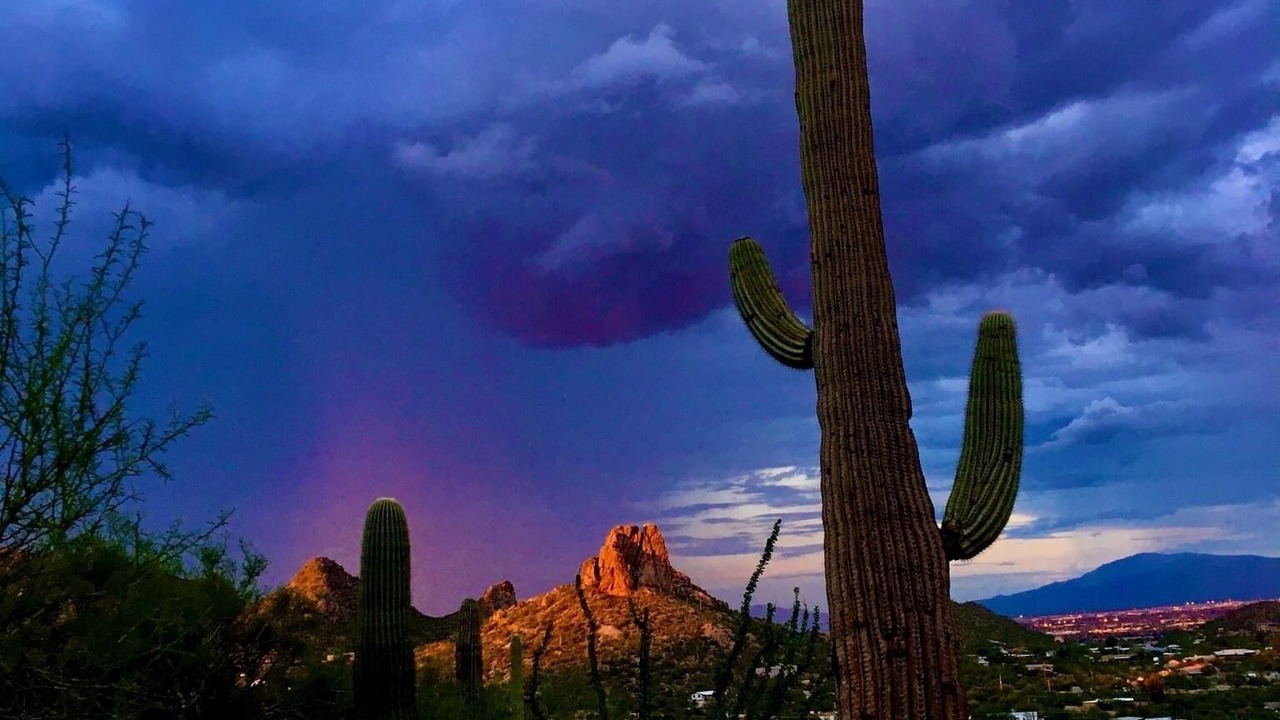 Photo of Outdoor in Rancho Bella Vista