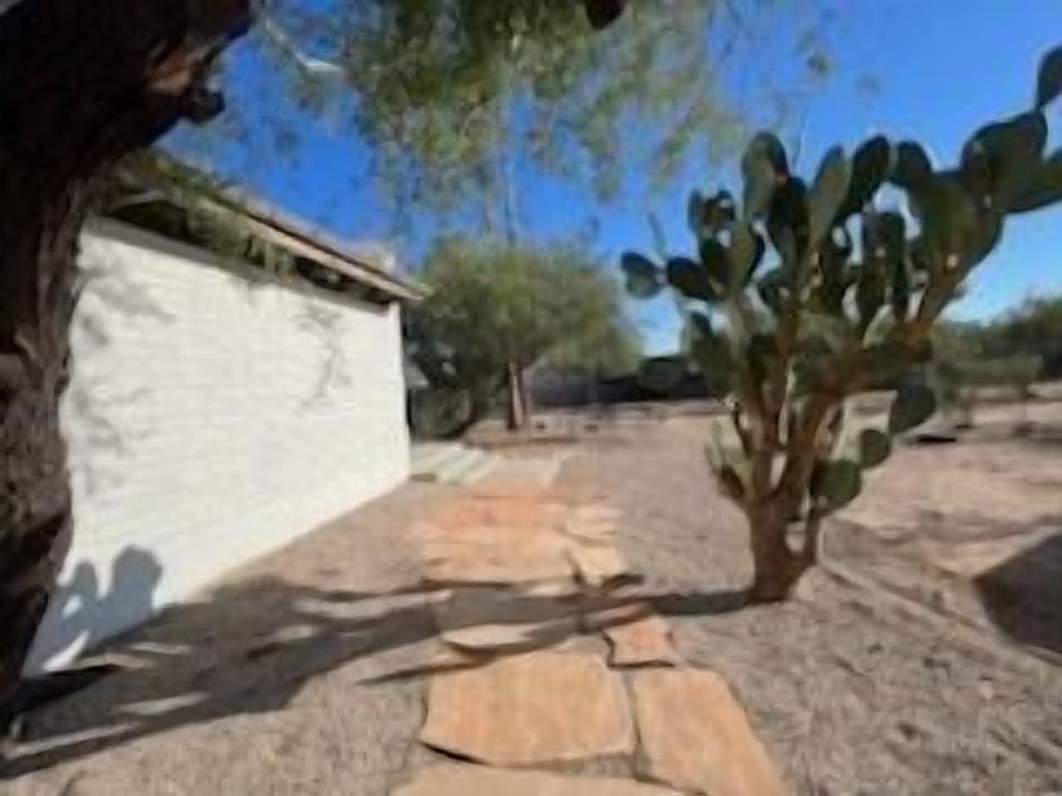 Photo of Others in Tucson