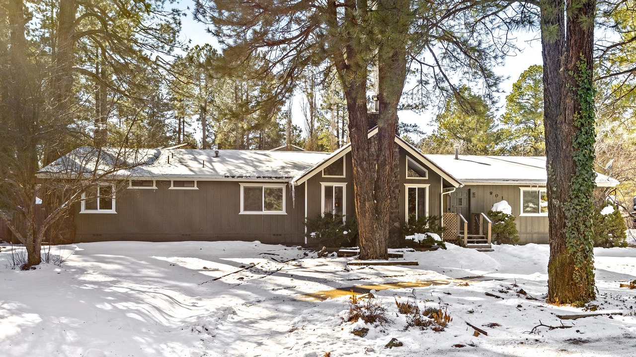 Photo of Outdoor in Flagstaff