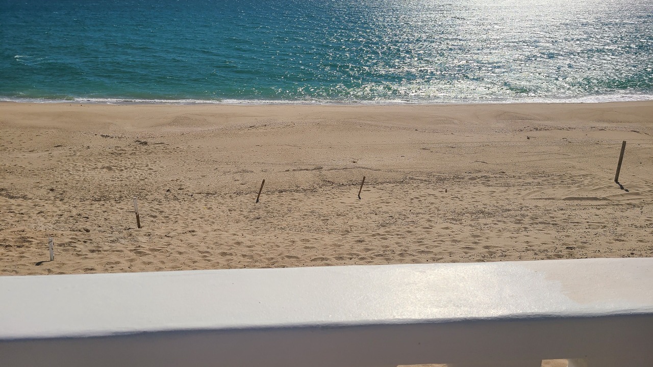 Photo of Others in Puerto Penasco