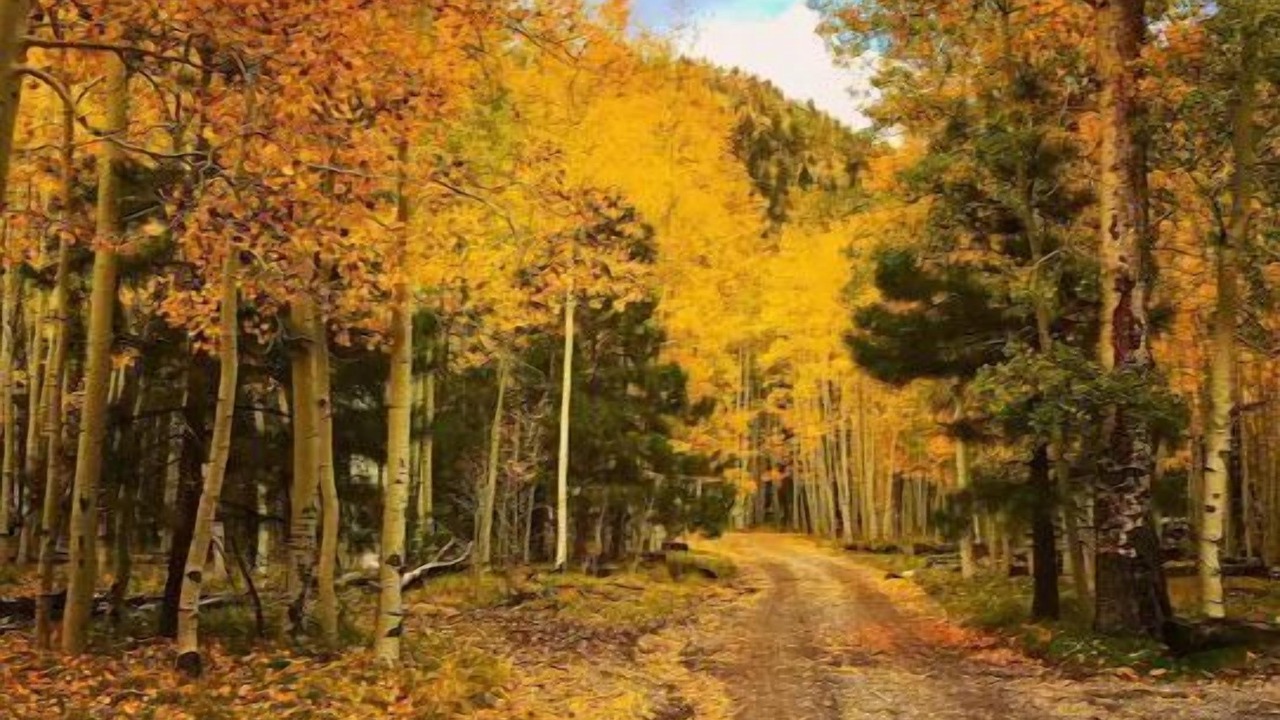 Photo of Others in Flagstaff