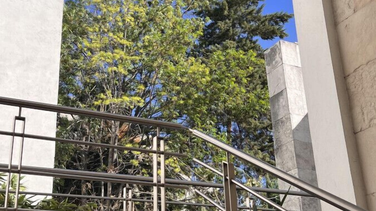Photo of Outdoor in Hipodromo