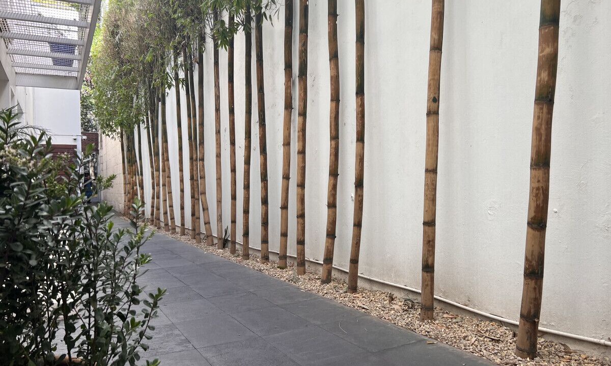 Photo of Outdoor in Hipodromo