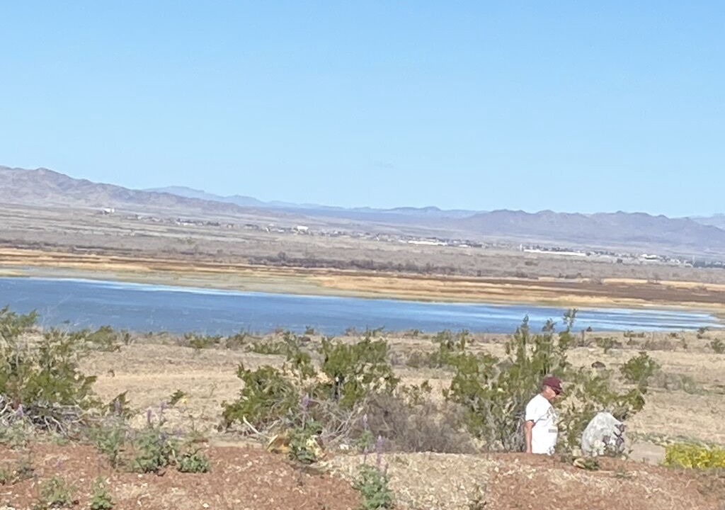 Photo of Others in Mohave Valley