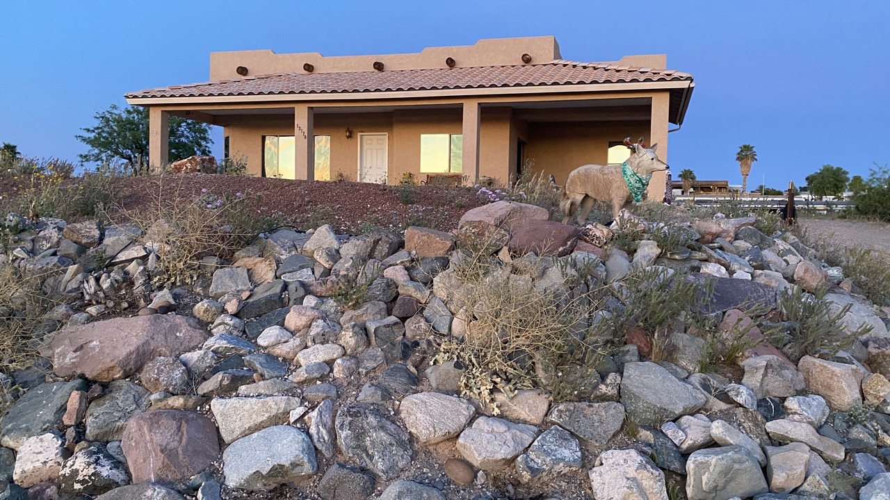 Photo of Outdoor in Mohave Valley