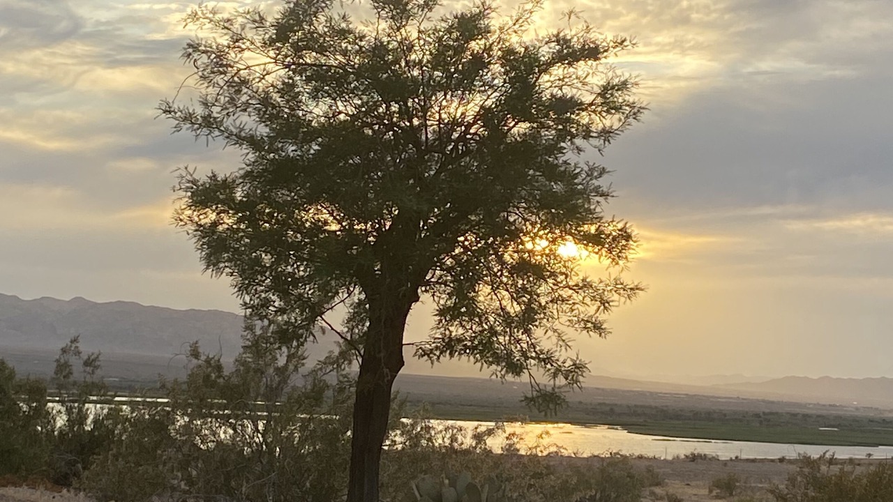 Photo of Others in Mohave Valley