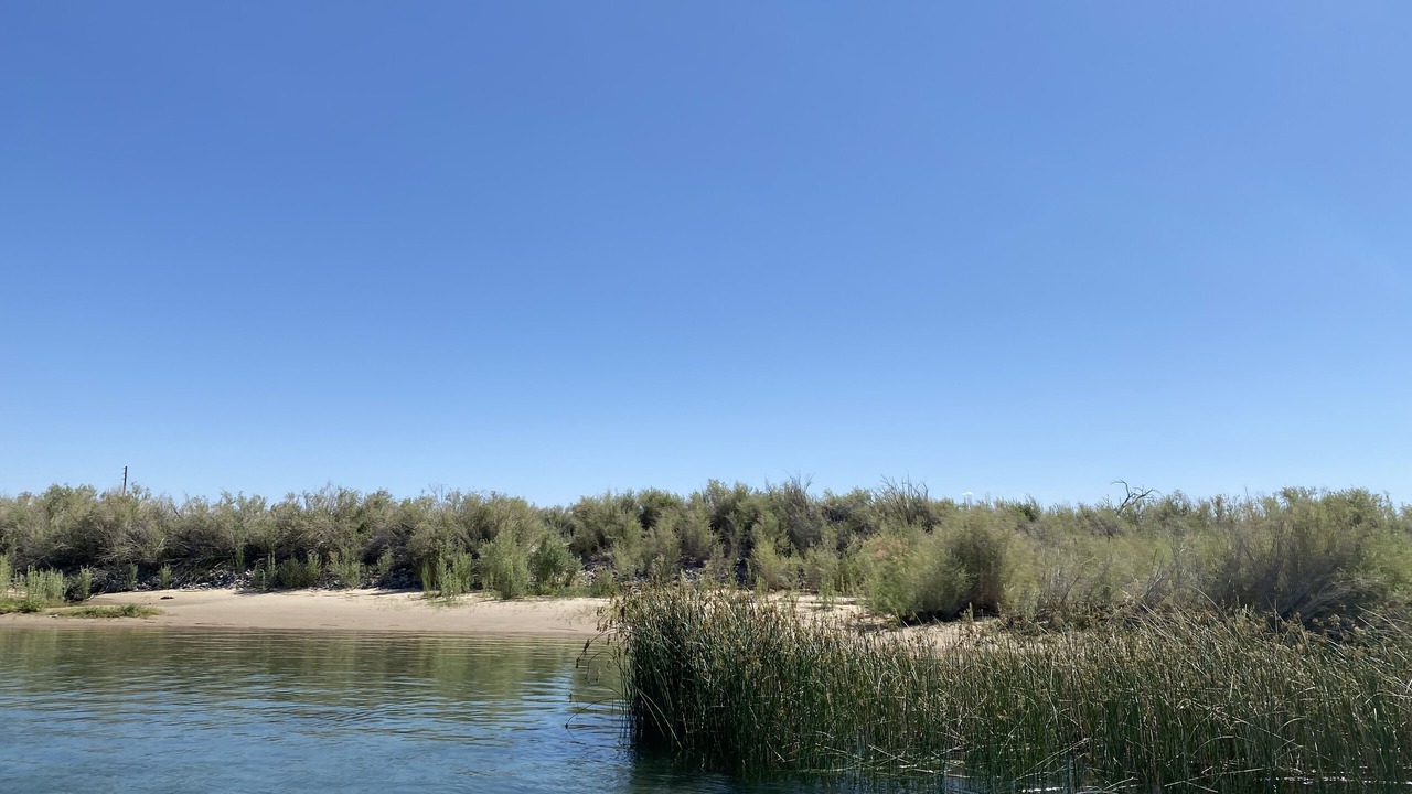 Photo of Others in Mohave Valley