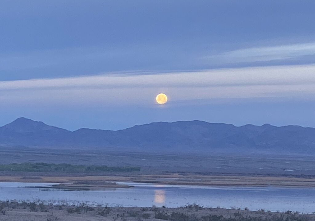 Photo of Outdoor in Mohave Valley