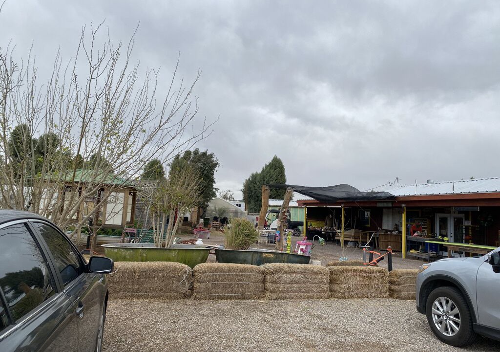 Photo of Others in Mohave Valley
