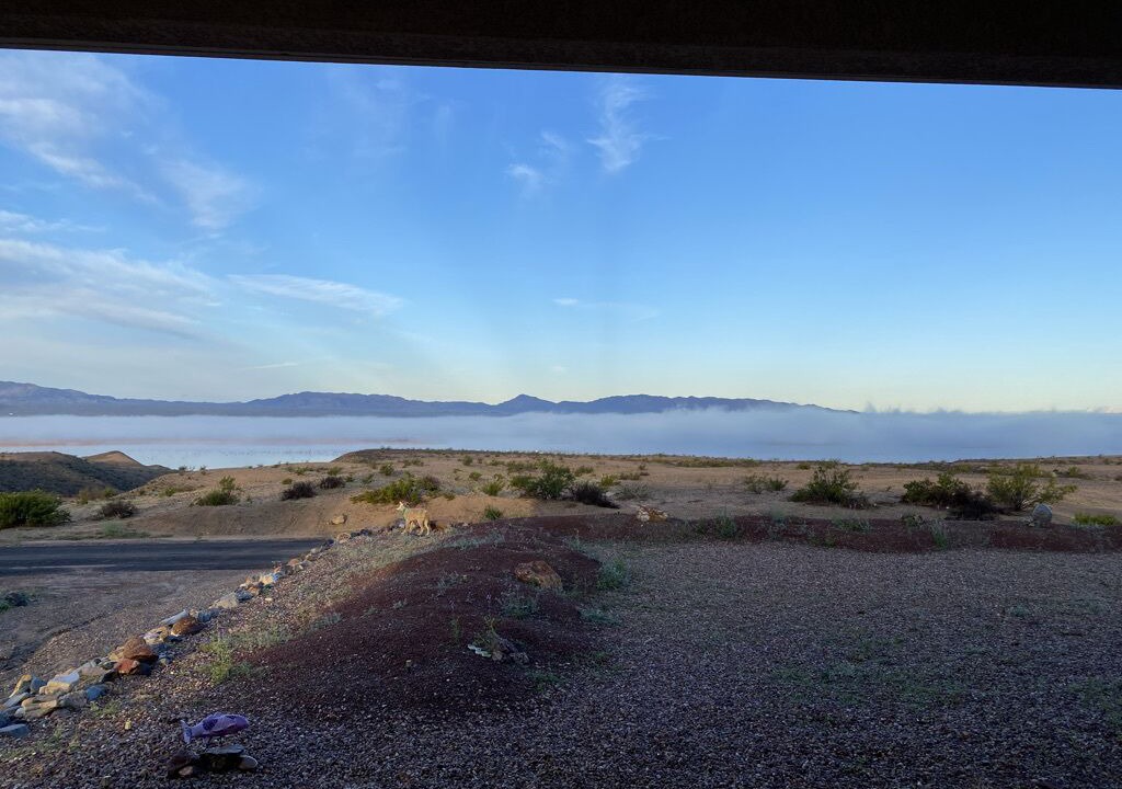 Photo of Outdoor in Mohave Valley