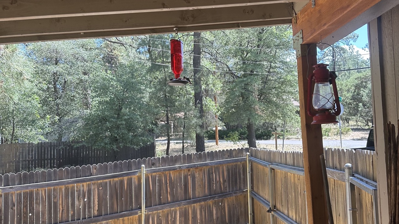 Photo of Outdoor in Groom Creek