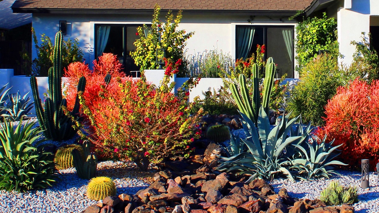 Photo of Outdoor in Covey