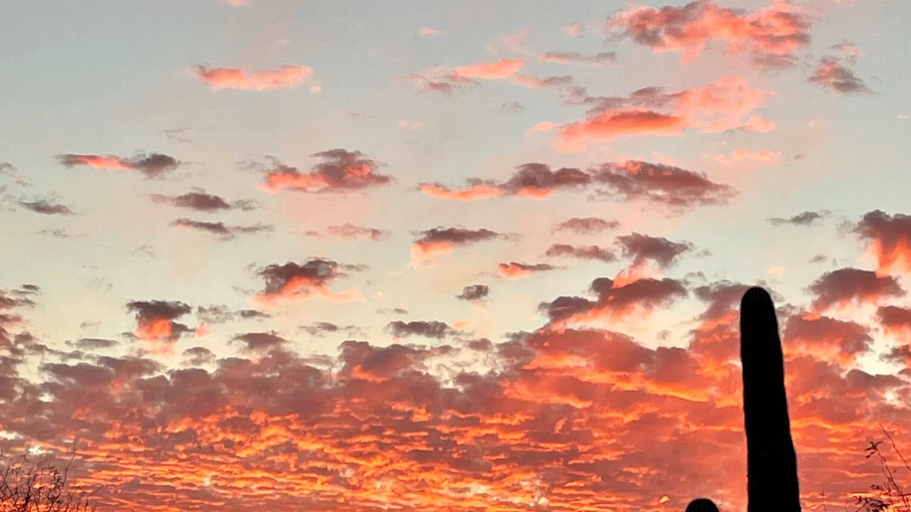 Photo of Others in Cave Creek