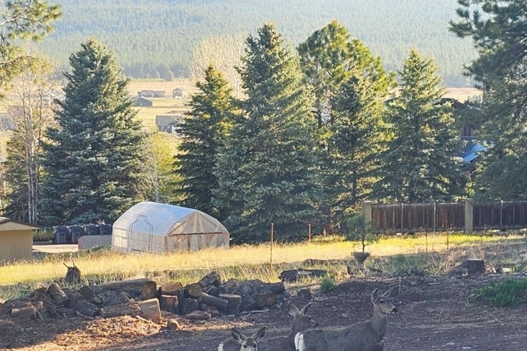 Photo of Others in Fort Valley