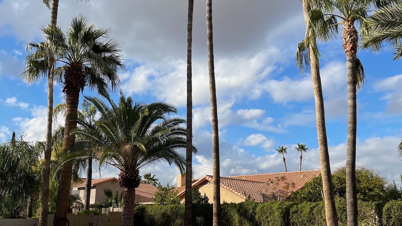 Photo of Outdoor in Arabian Views
