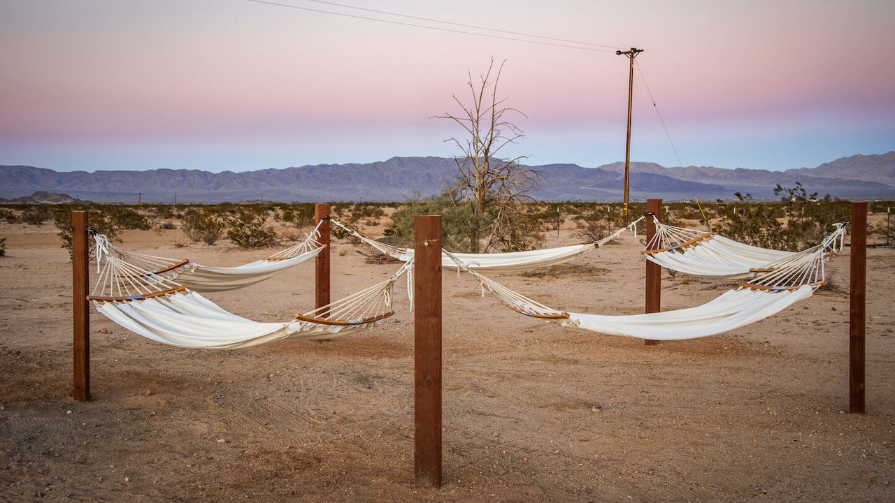 Photo of Others in Wonder Valley