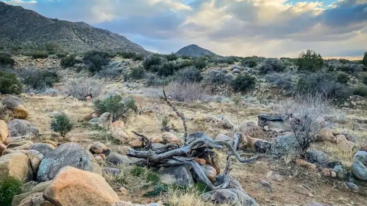 Photo of Others in Kingman