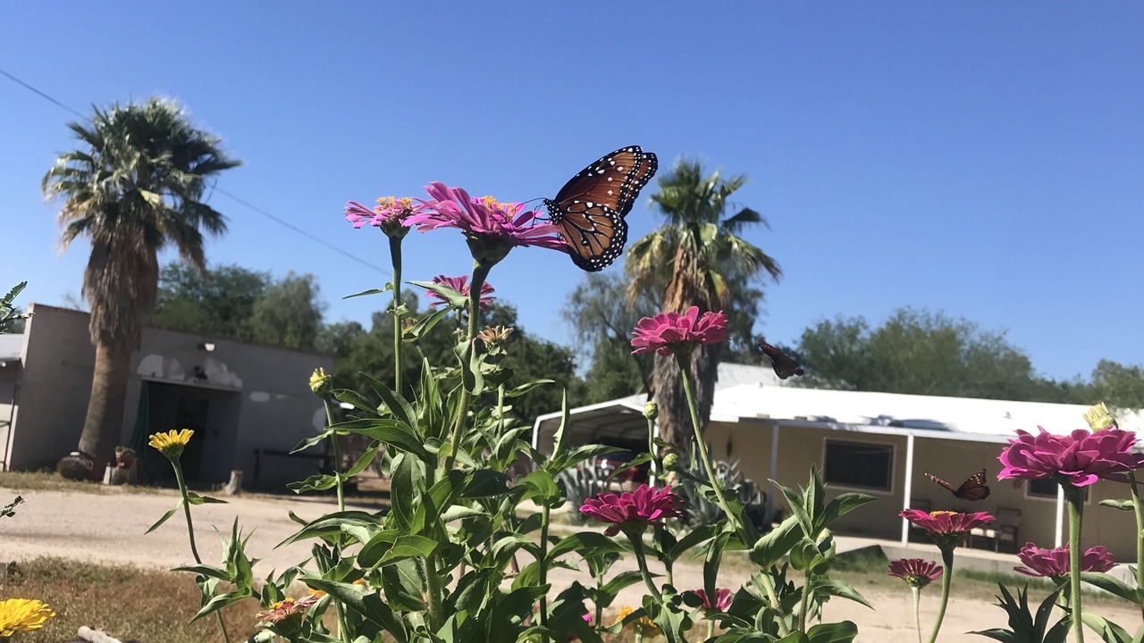 Photo of Others in Campus Farm