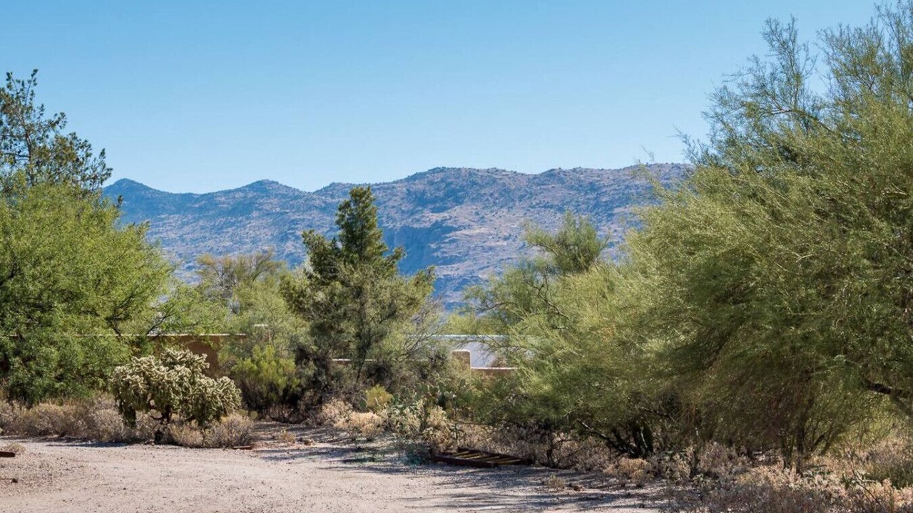 Photo of Others in Saguaro Shadows