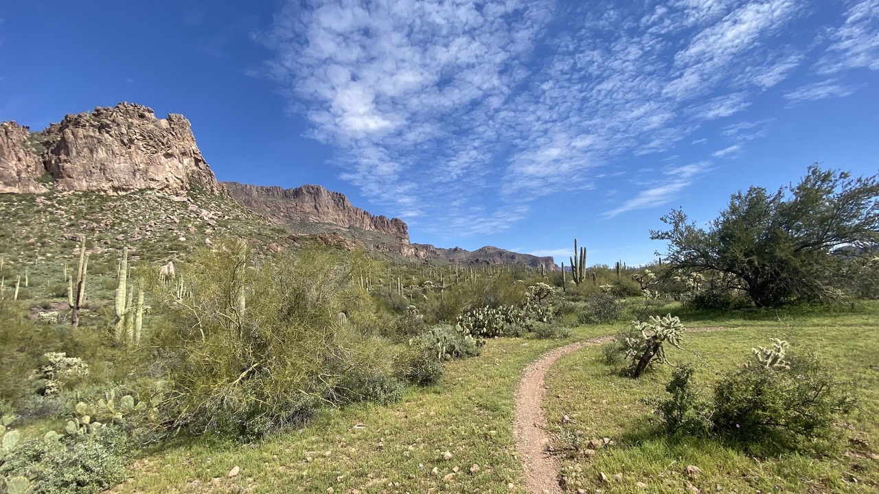 Photo of Others in Entrada Del Oro