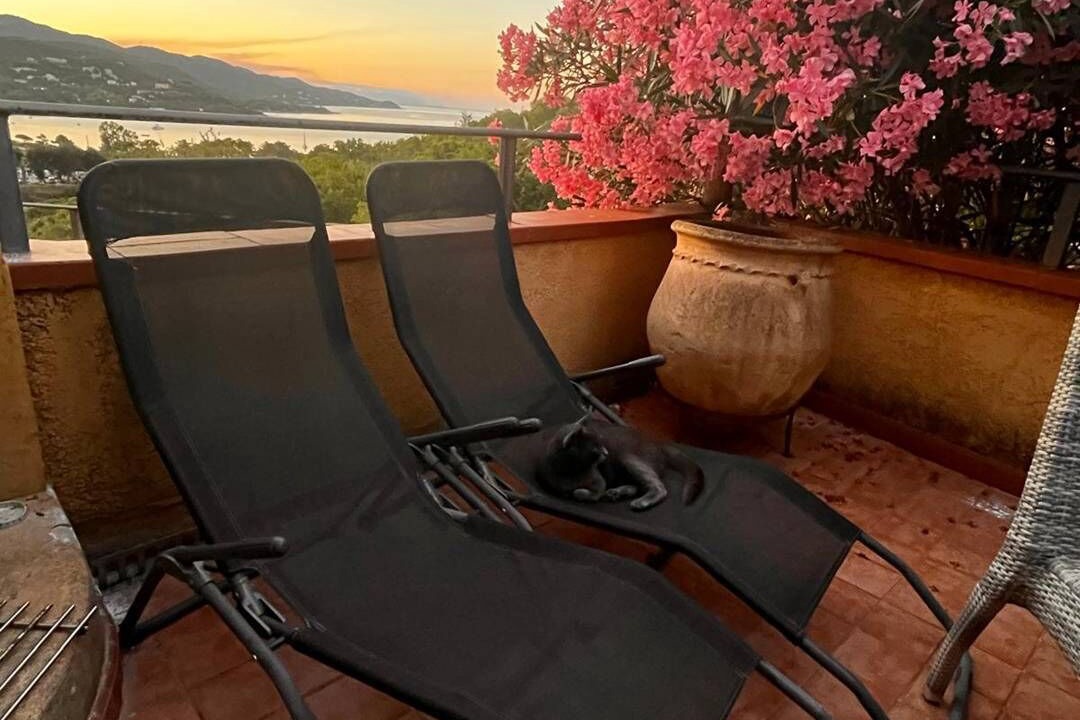 Photo of Patio Balcony in Favone