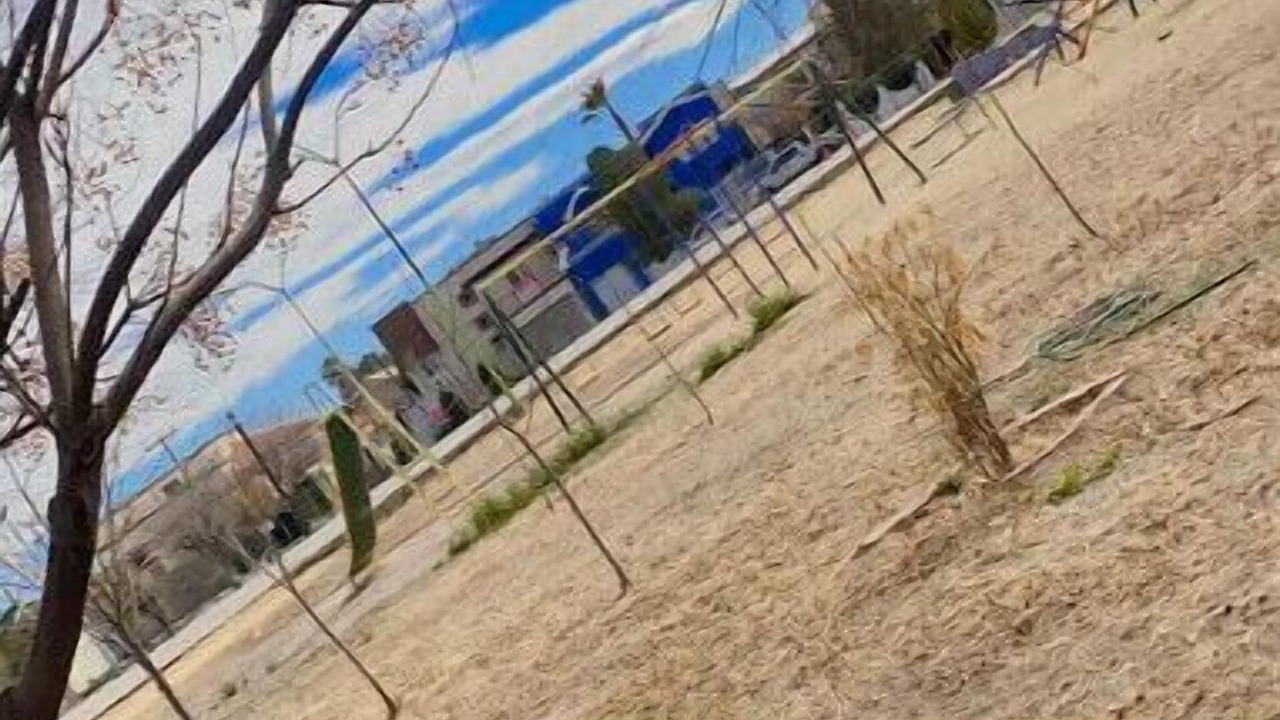Photo of Others in Ciudad Juarez