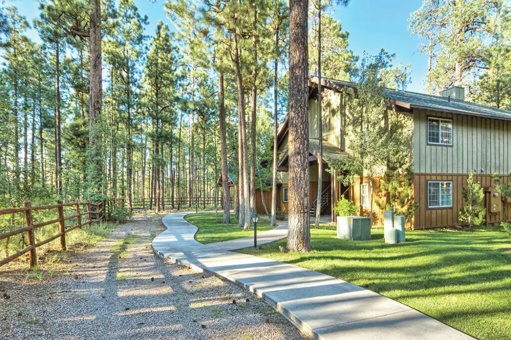 Photo of Outdoor in Pinetop