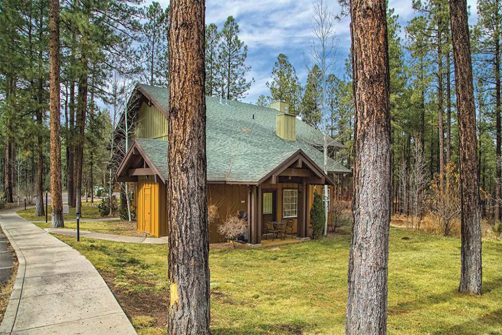 Photo of Outdoor in Pinetop