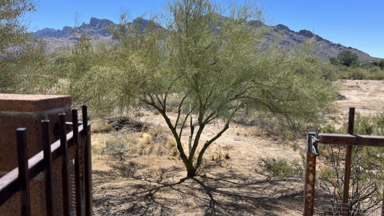 Photo of Others in Oro Valley