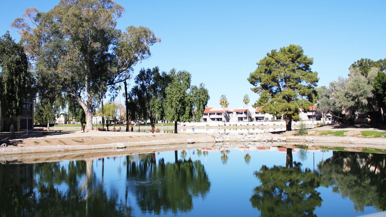 Photo of Others in Lake Biltmore Village