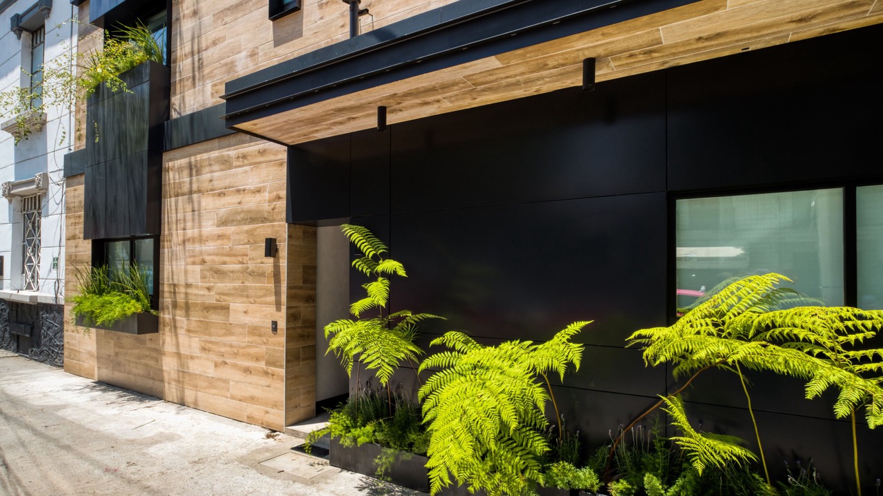 Photo of Outdoor in Colonia Roma