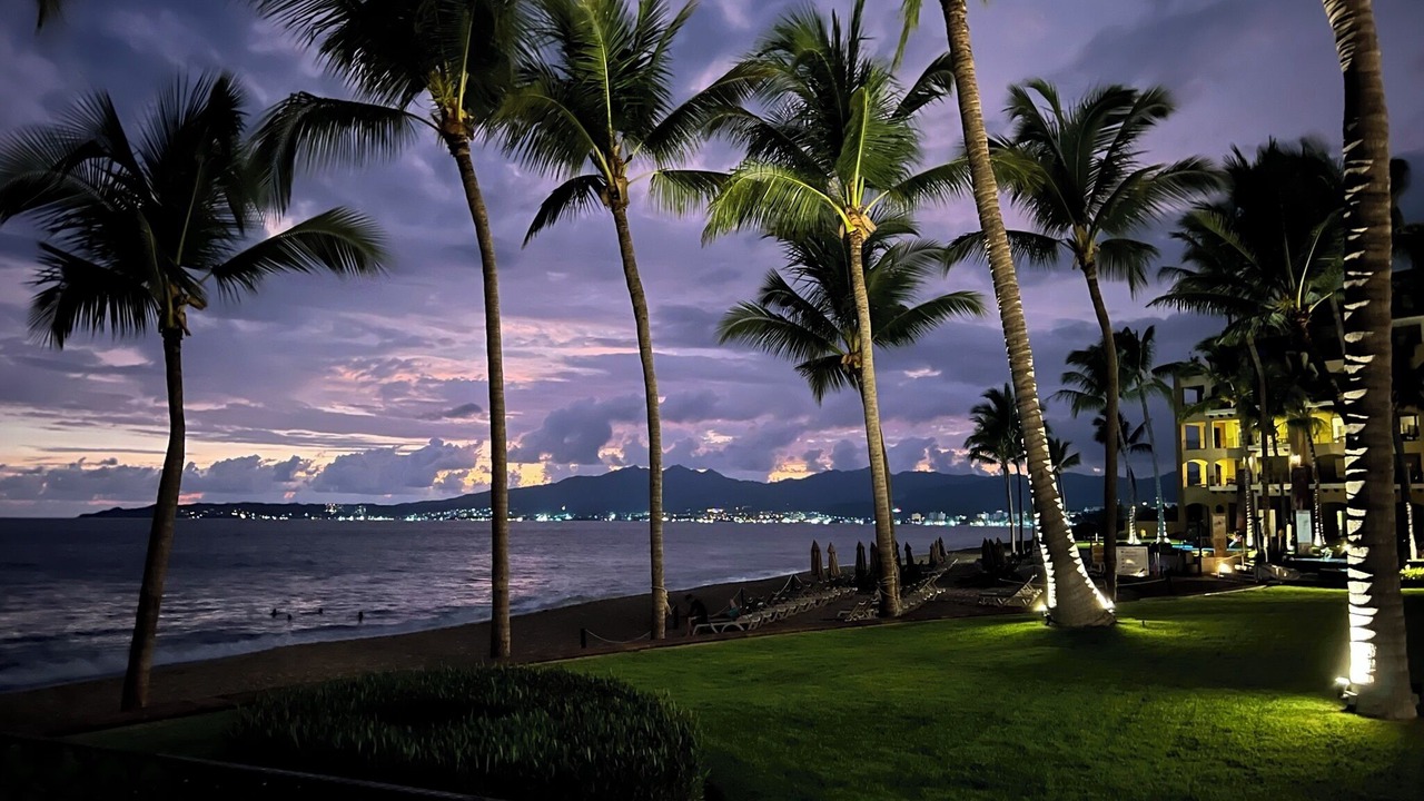 Photo of Outdoor in Flamingos