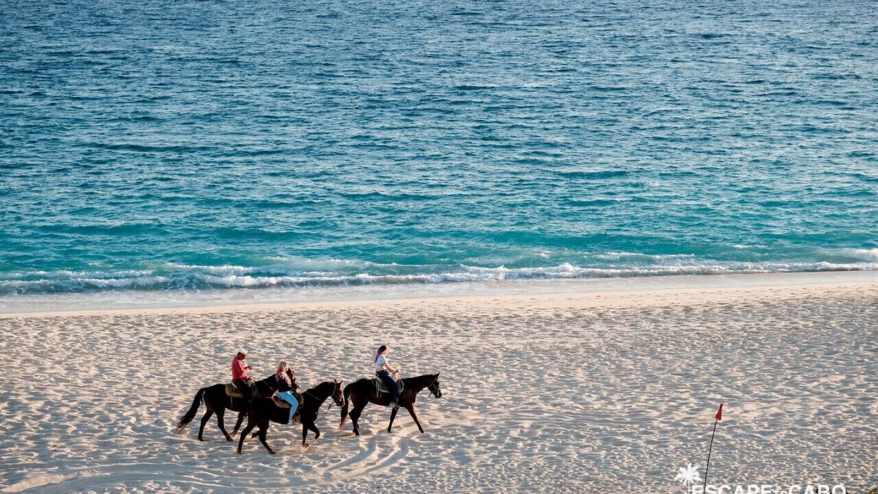Photo of Others in San Jose del Cabo
