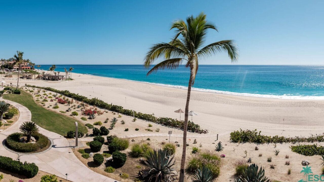 Photo of Others in San Jose del Cabo