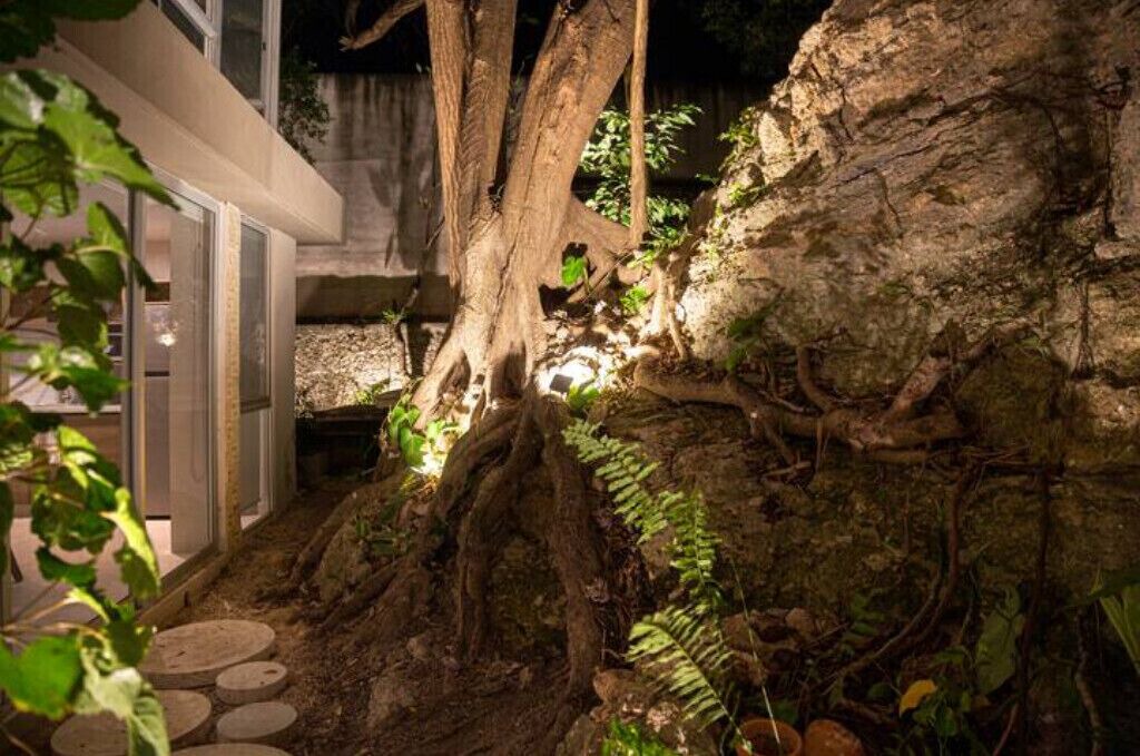 Photo of Outdoor in Merida