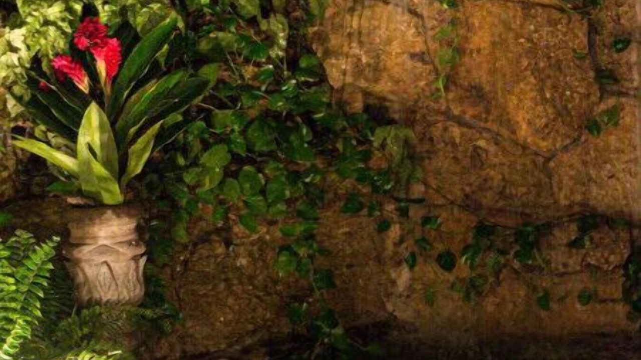 Photo of Outdoor in Merida
