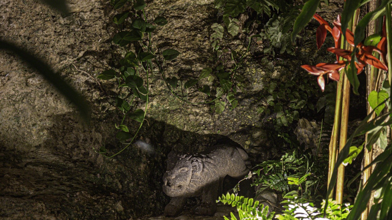 Photo of Outdoor in Merida