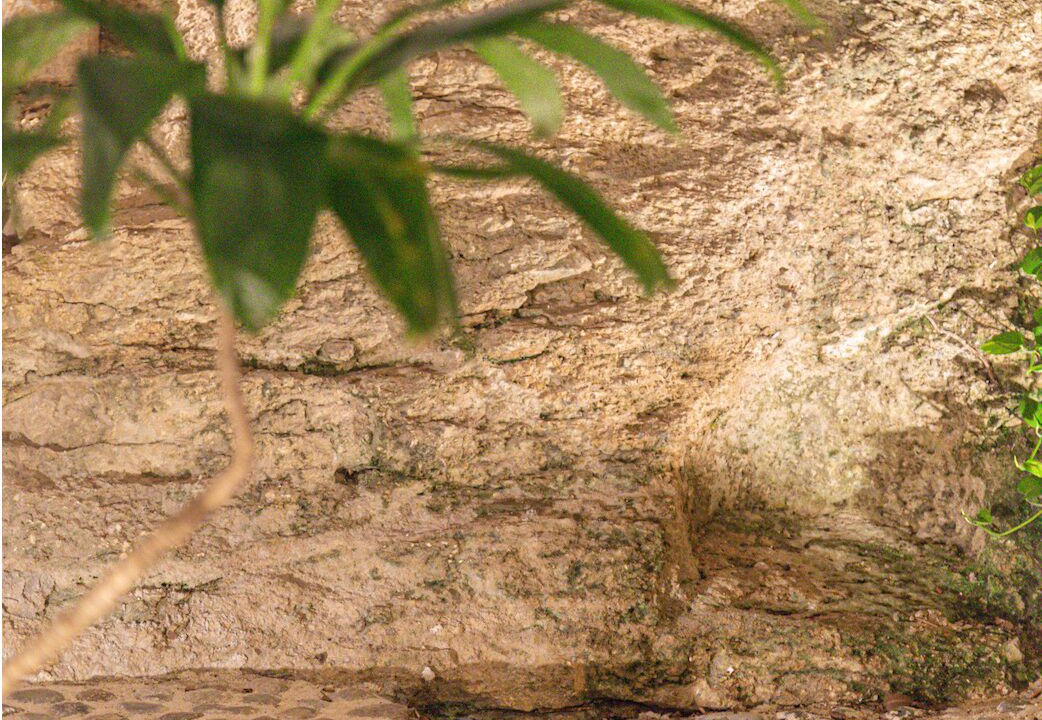 Photo of Outdoor in Merida