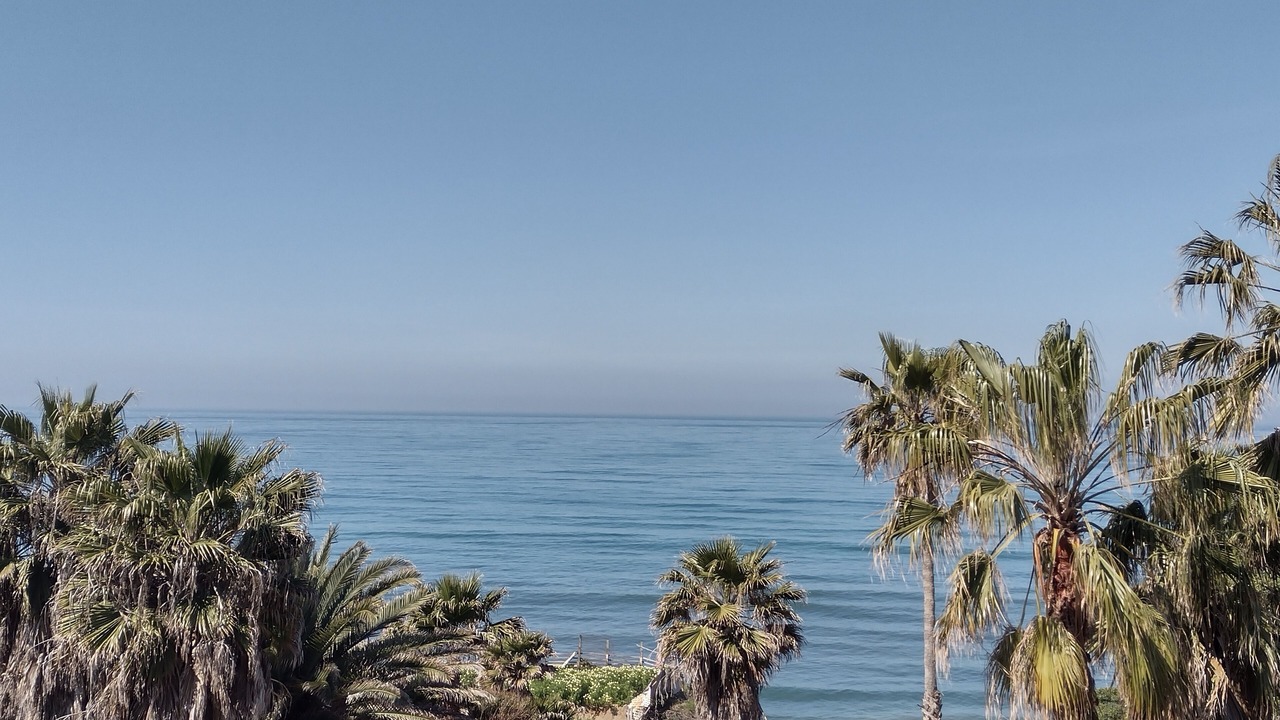 Photo of Others in Playas de Rosarito