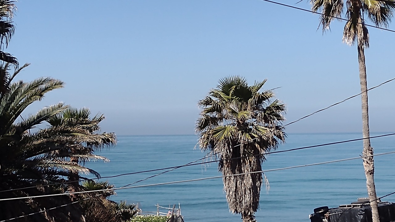 Photo of Others in Playas de Rosarito