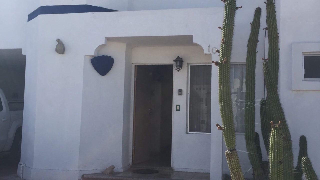 Photo of Outdoor in San Carlos