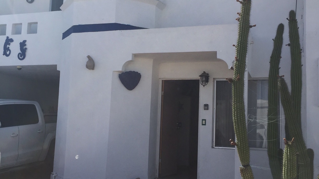Photo of Outdoor in San Carlos