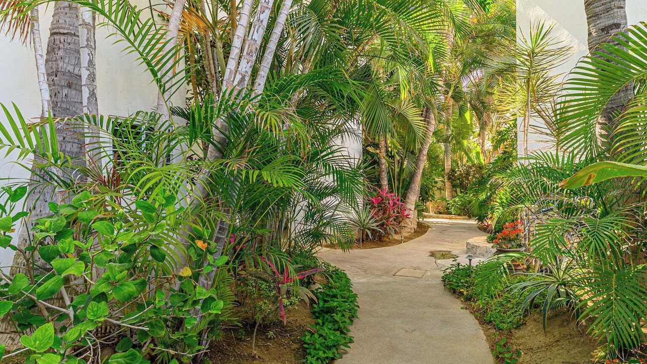 Photo of Outdoor in San Jose del Cabo