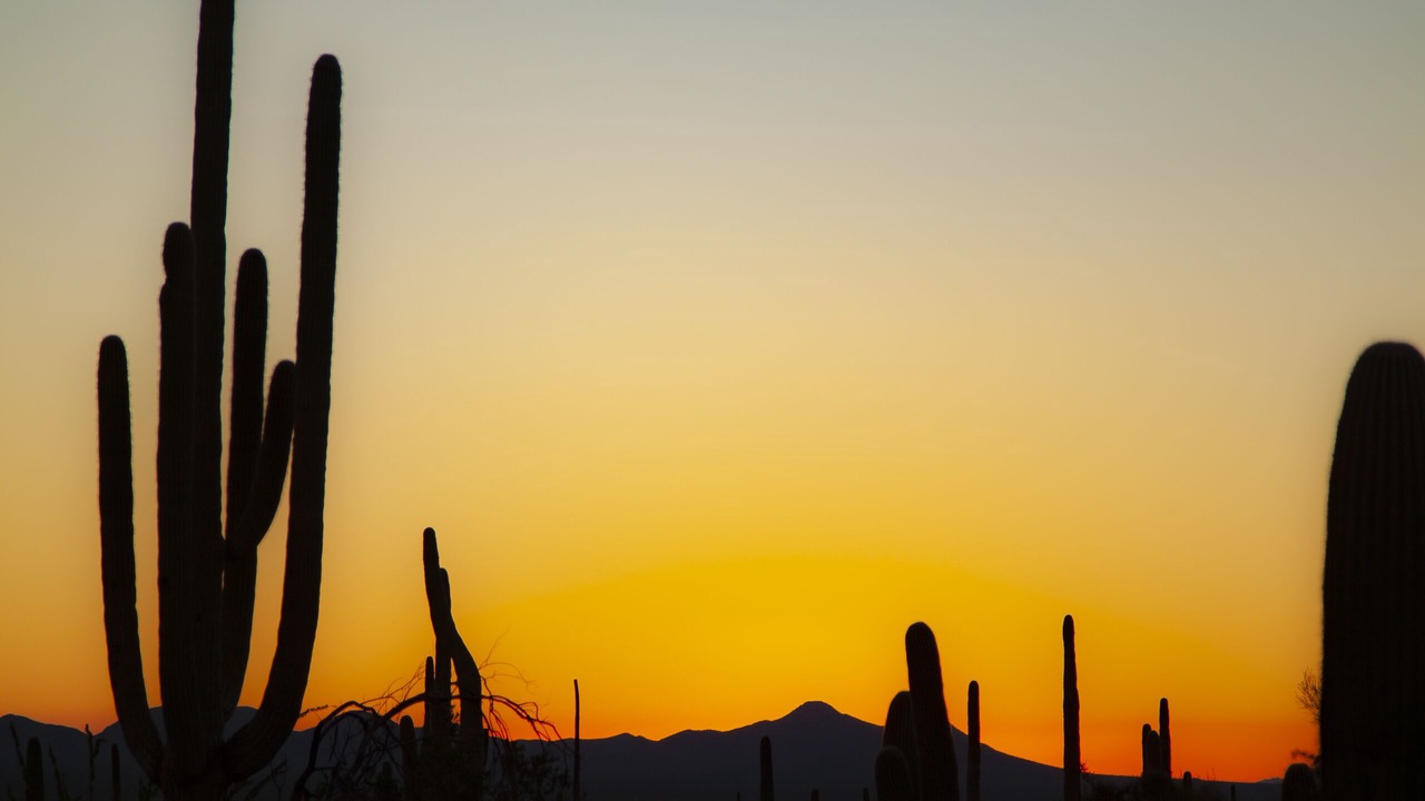 Photo of Outdoor in Tucson