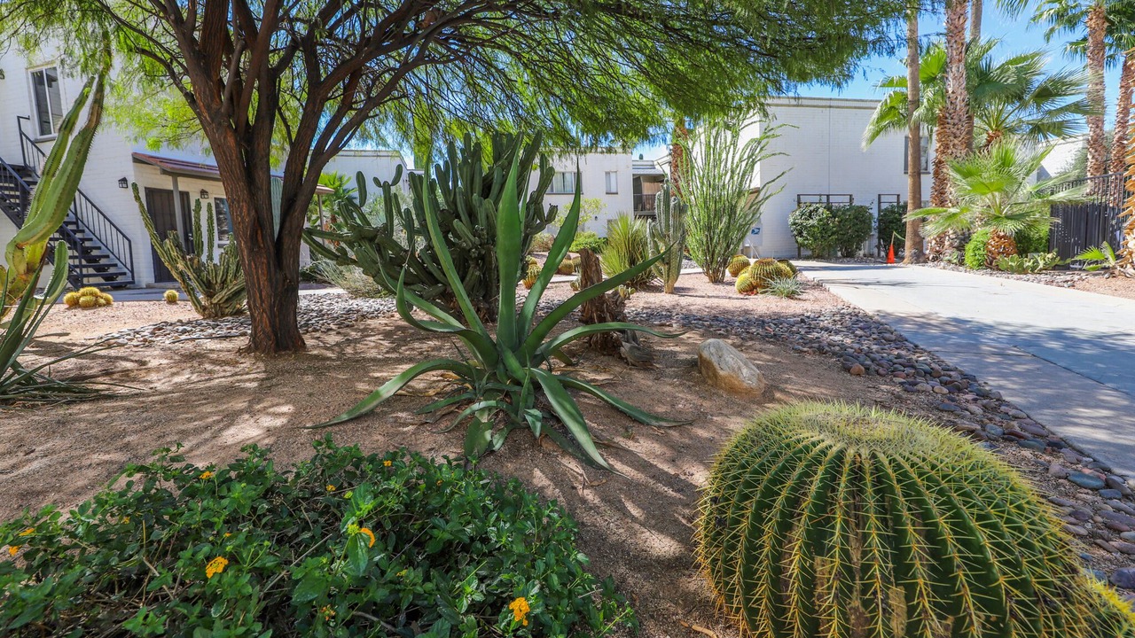 Photo of Outdoor in Tucson