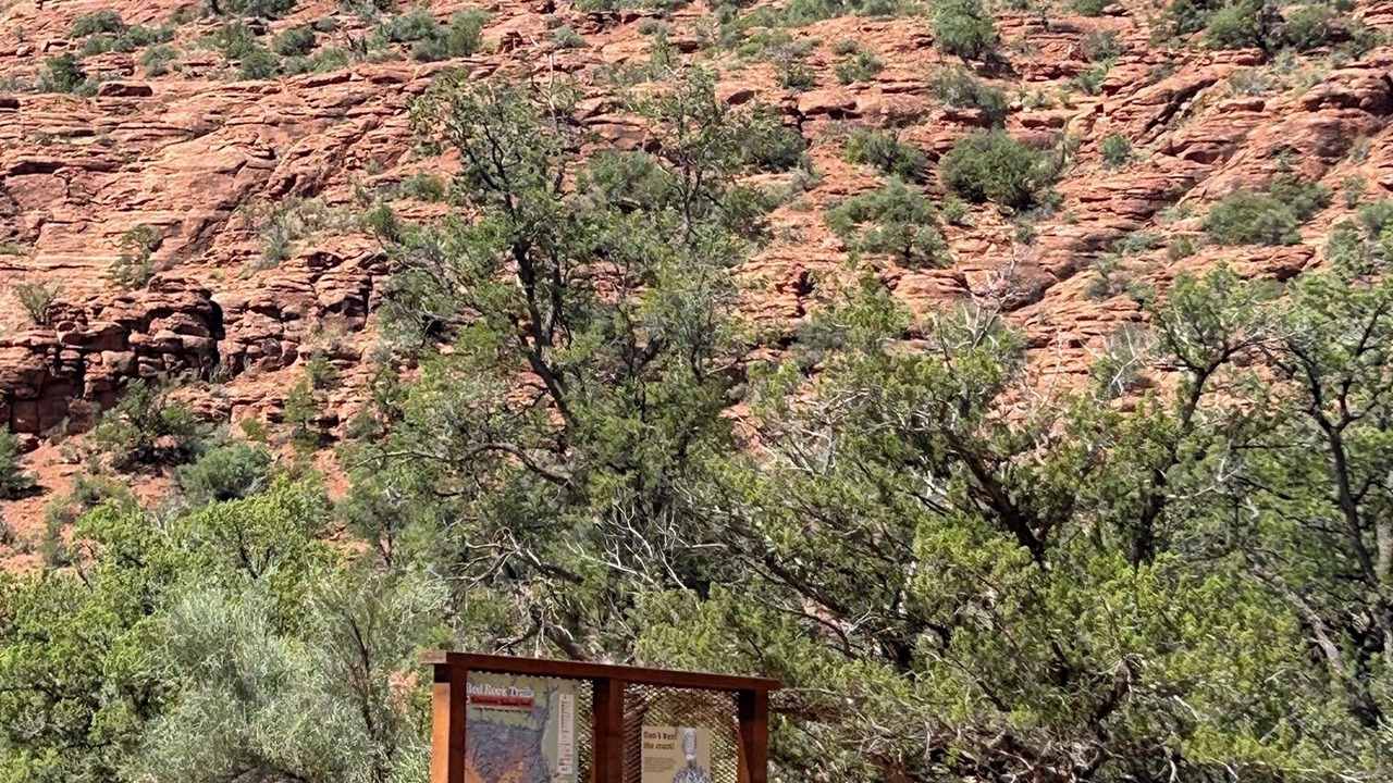 Photo of Others in West Sedona