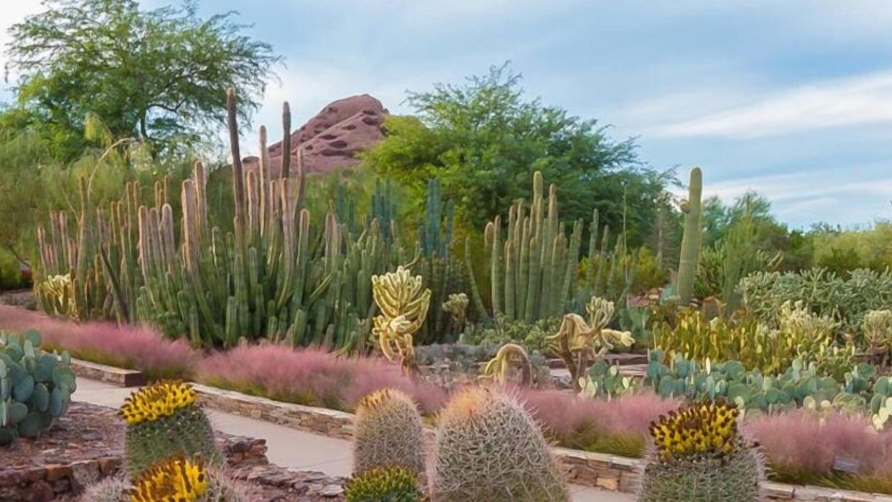 Photo of Others in McDowell Mountain Apartments