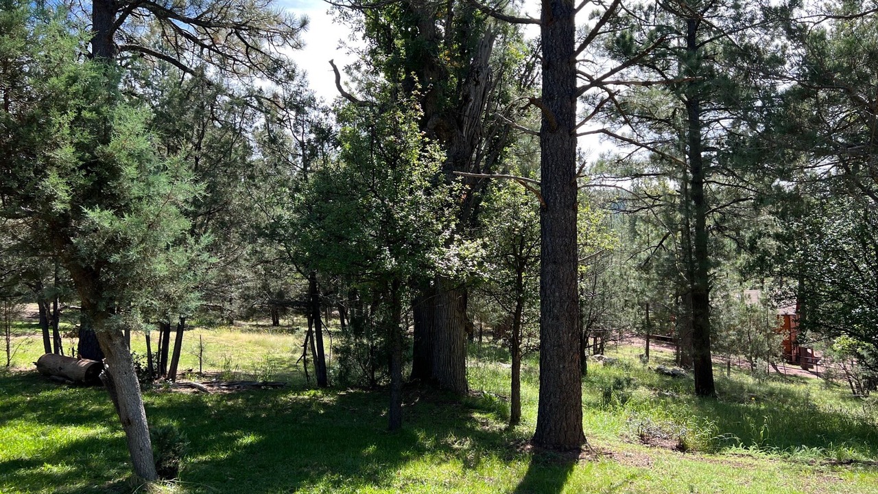 Photo of Outdoor in Payson