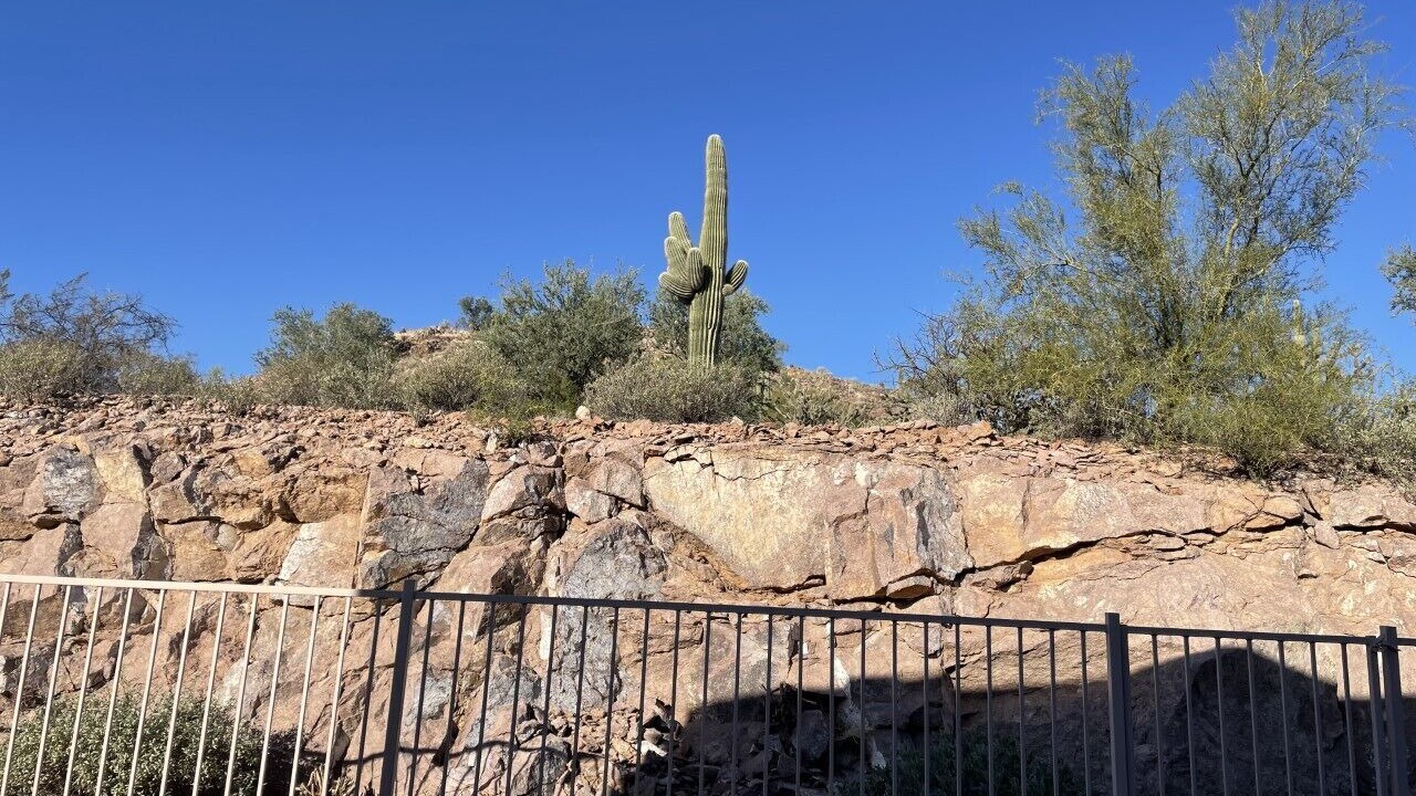 Photo of Others in Gold Canyon